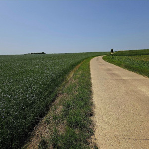 Pas de légende