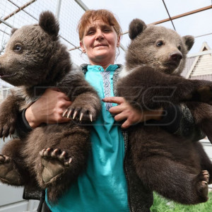 Les oursons du zoo de Marioupol