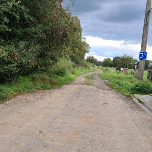 Pas de légende