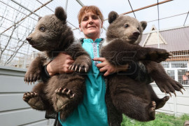 Les oursons du zoo de Marioupol