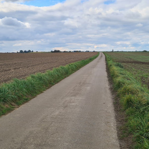 Pas de légende