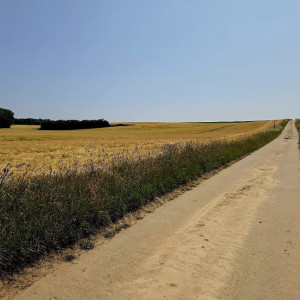Pas de légende