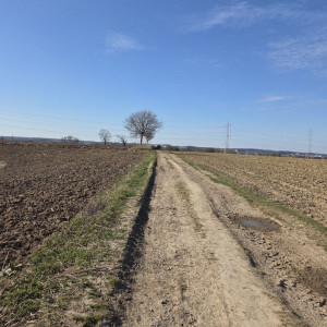 Pas de légende